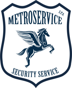 Logo Metroservice